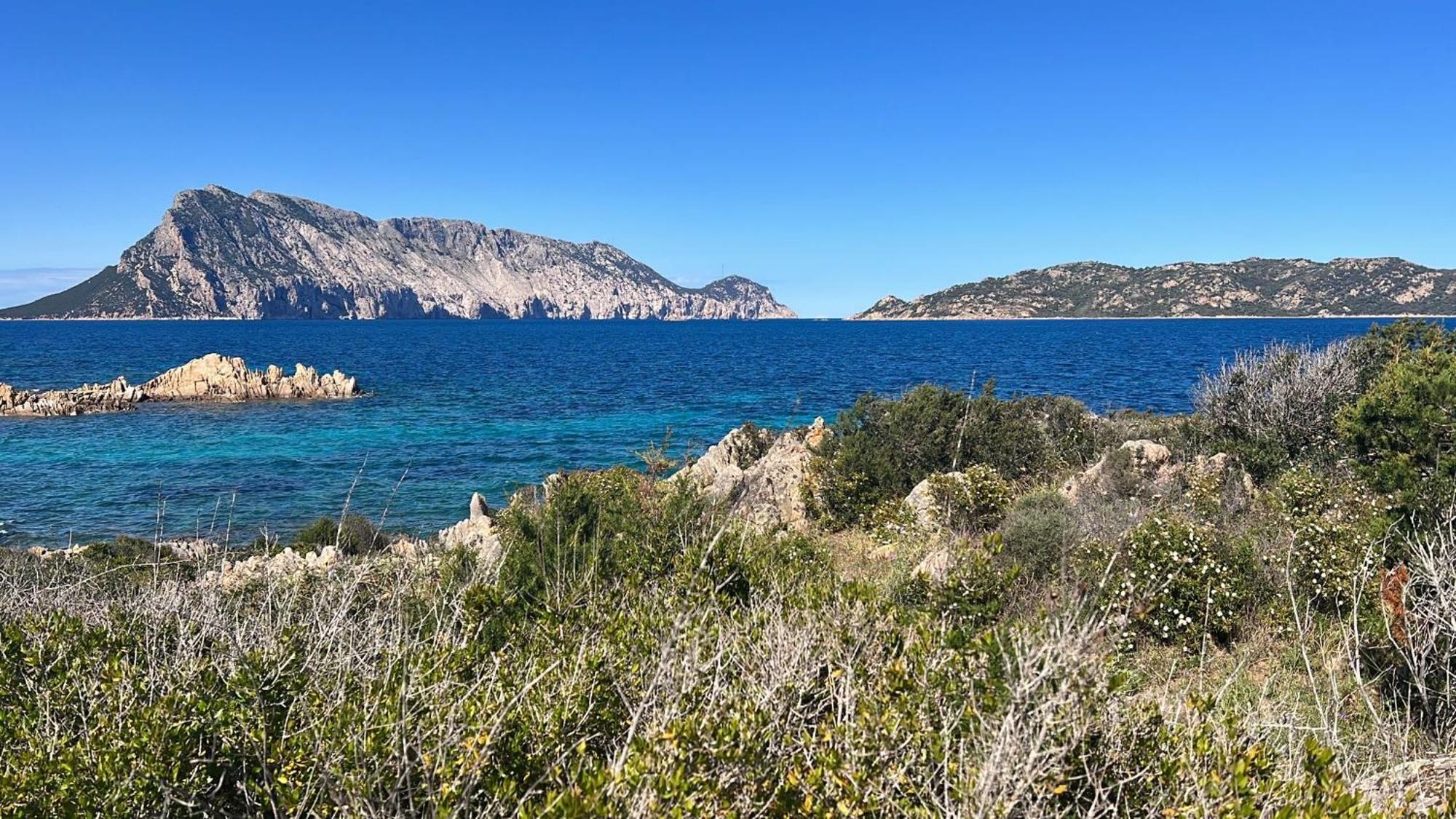 Appartamento Da Wanna Olbia Buitenkant foto
